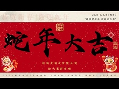 2025 Spring Festival